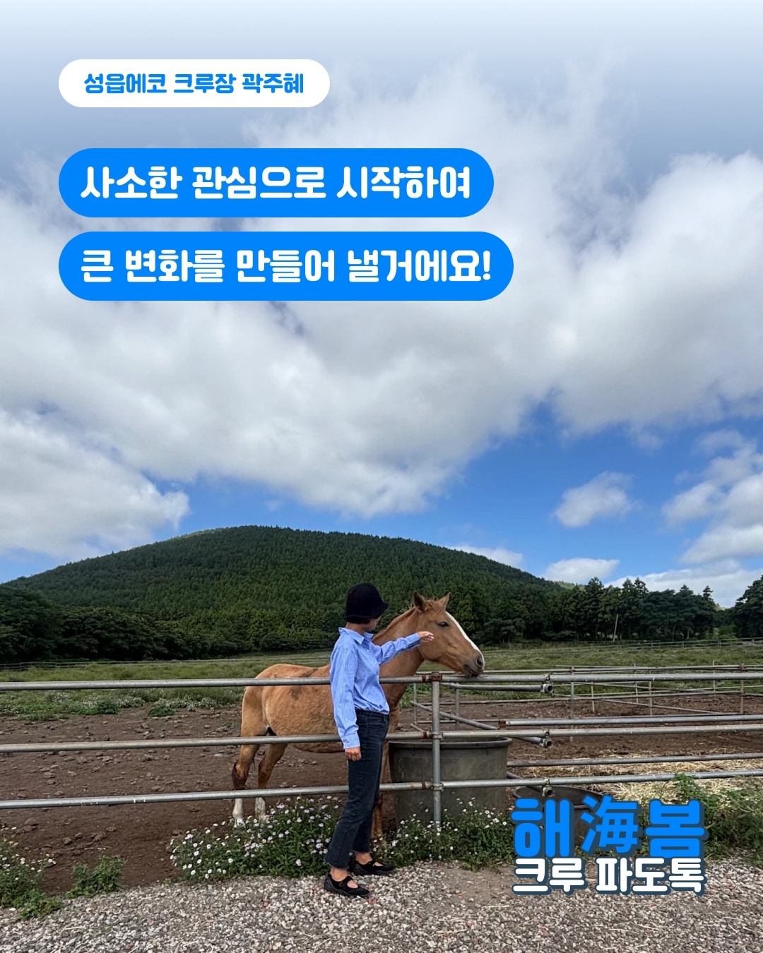 성읍에코